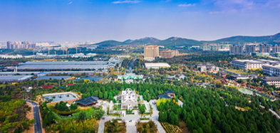 乐动官方登录（中国）官方在线登录产业